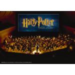 13-09-2016 - franzgrosse - Harry Potter.jpg